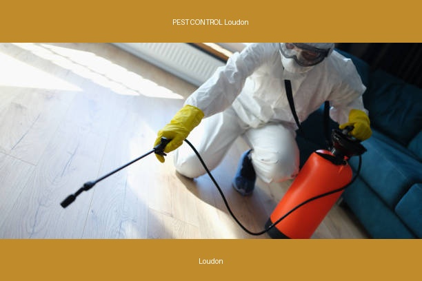 PEST CONTROL Loudon